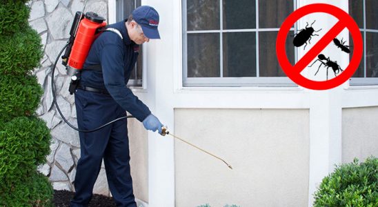 Çorlu Karınca İlaçlama böcek ilaçlama ve haşere kontrolü — ilaclama-tr.com